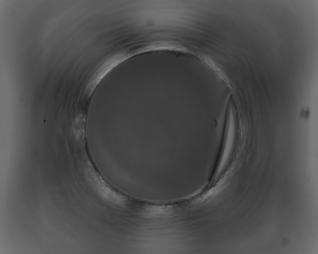 X0000089911369200707060950