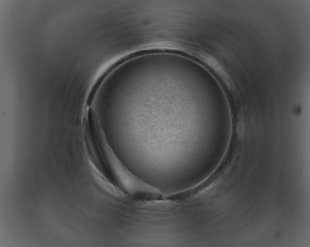 X0000089911372200707060950