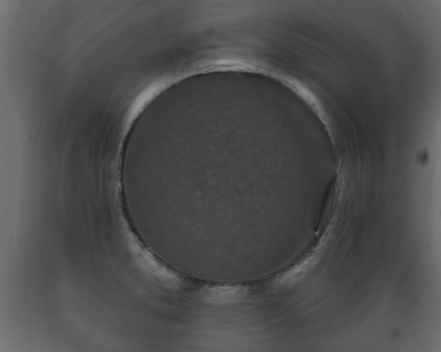 X0000089911373200707060950