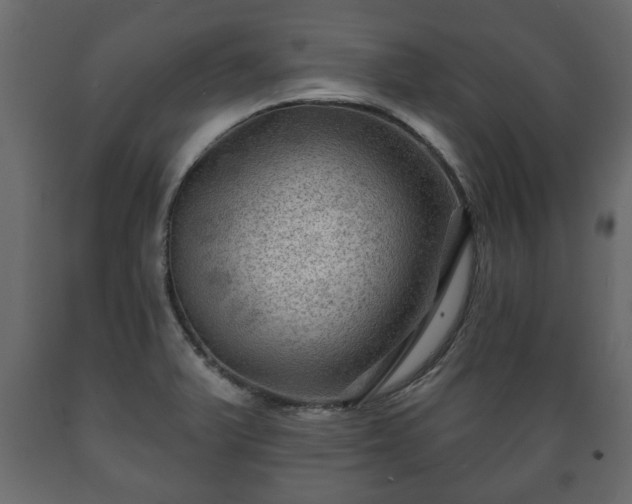 X0000089911375200707060950