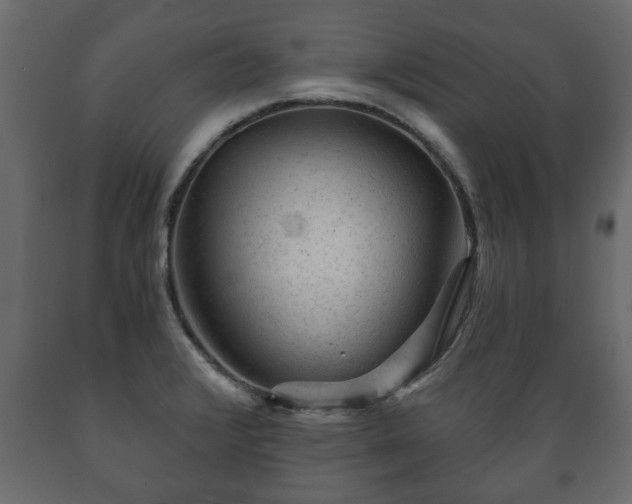 X0000089911376200707060950