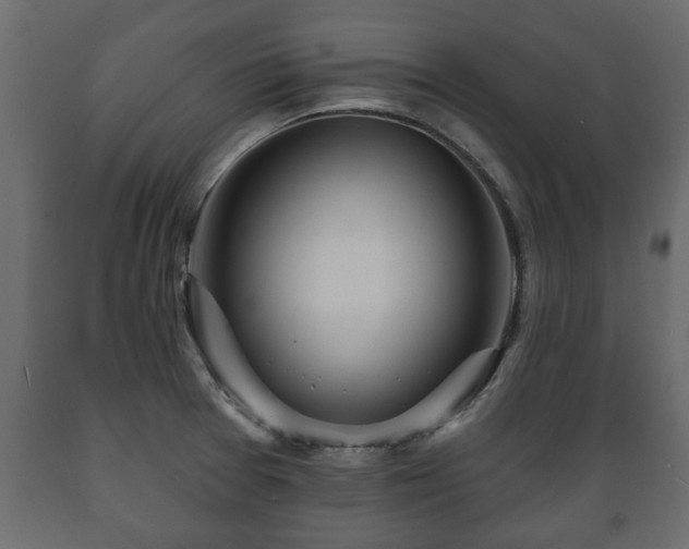 X0000089911377200707060950