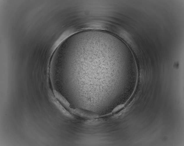 X0000089911378200707060950