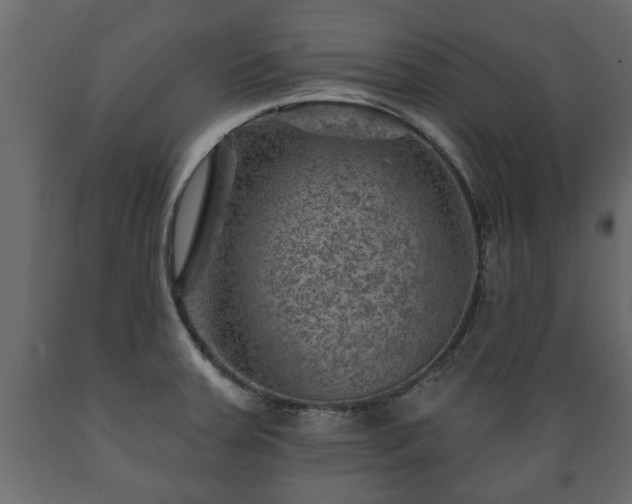 X0000089911379200707060950