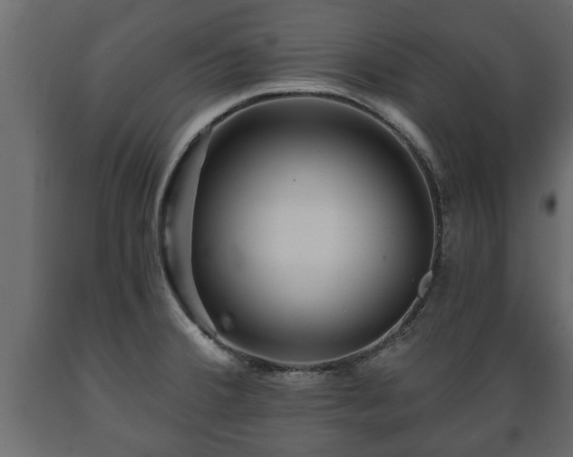 X0000089911380200707060950
