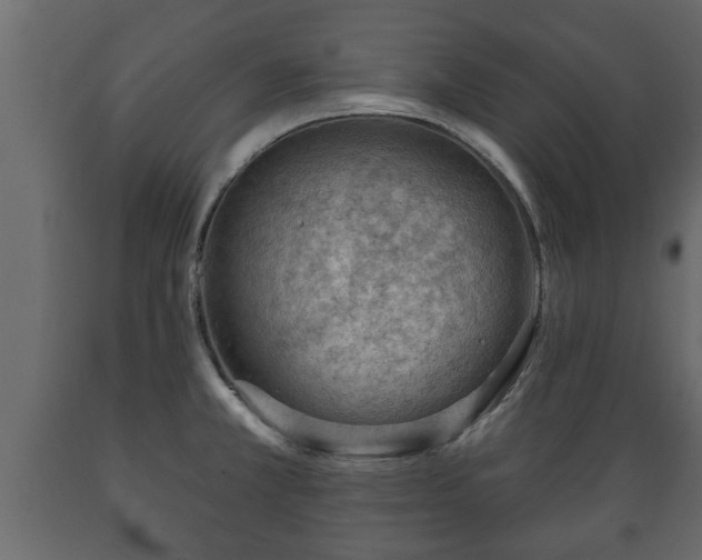 X0000089911381200707060950