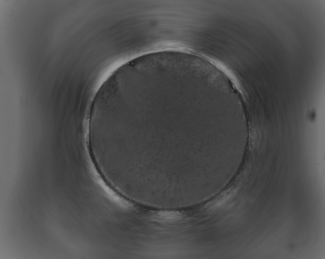 X0000089911383200707060950