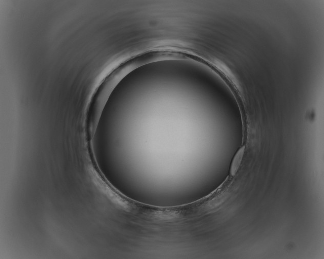 X0000089911384200707060950