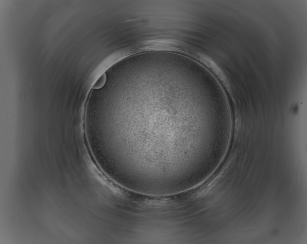 X0000089911386200707060950