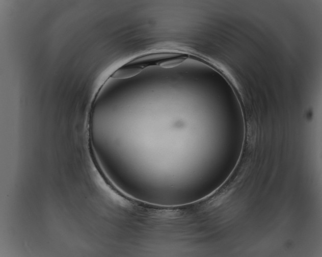 X0000089911387200707060950