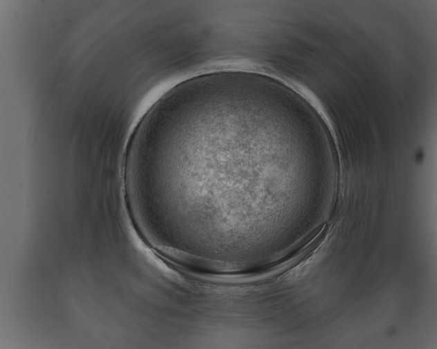 X0000089911389200707060950