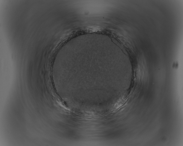 X0000089911393200707060949