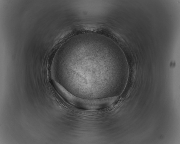 X0000089911394200707060949