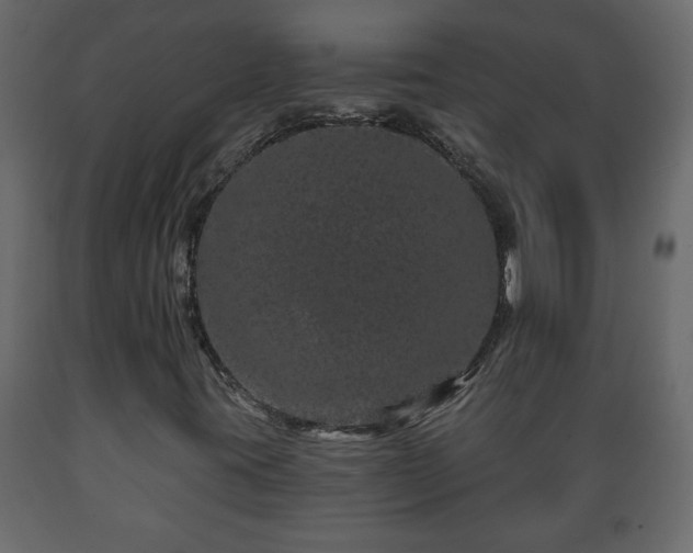 X0000089911395200707060949