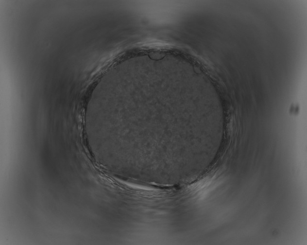 X0000089911397200707060949