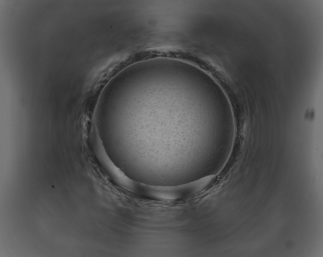 X0000089911398200707060949