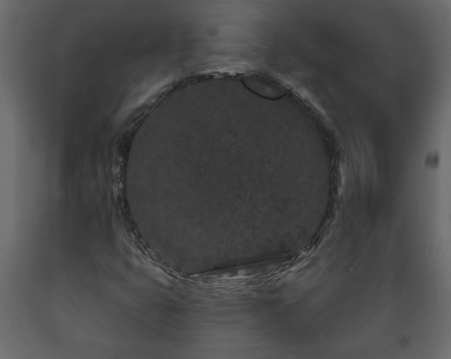 X0000089911399200707060949