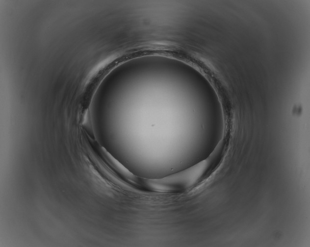 X0000089911402200707060949