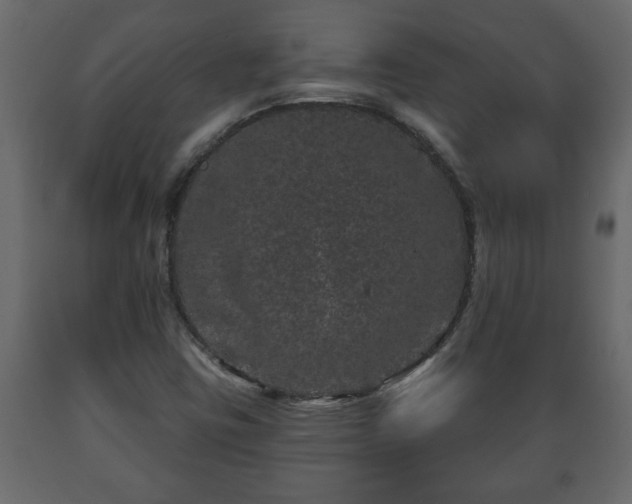 X0000089911403200707060949