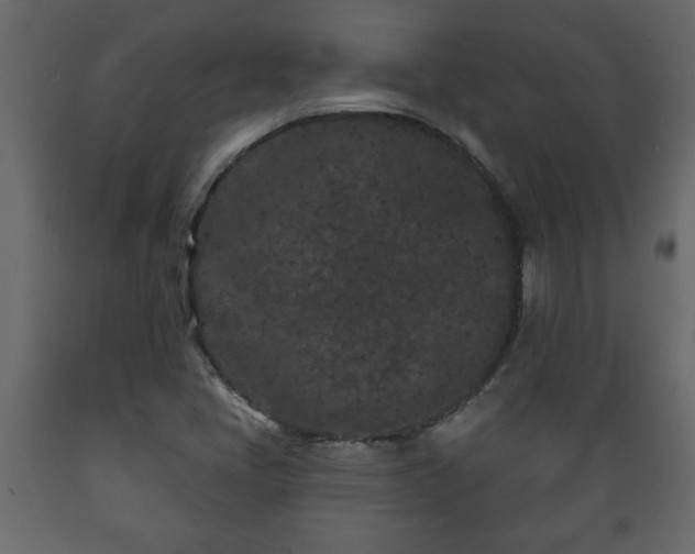 X0000089911405200707060949