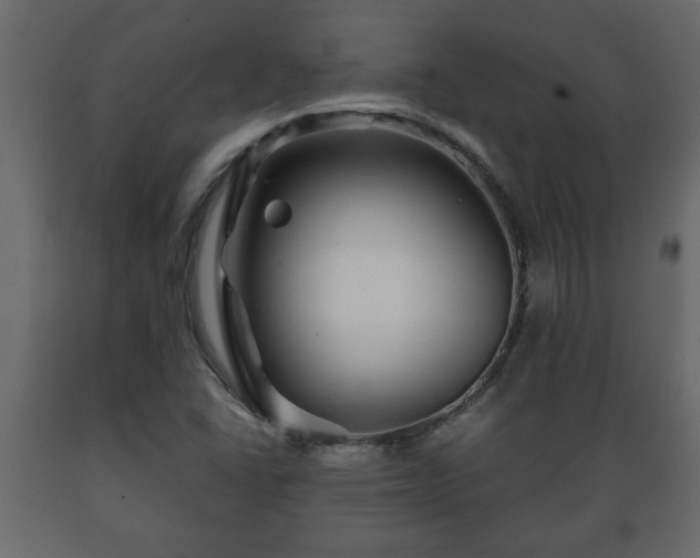 X0000089911406200707060949