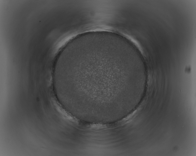X0000089911407200707060949