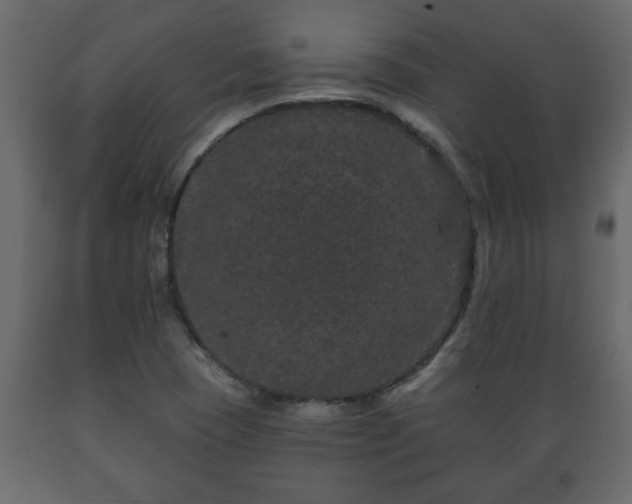 X0000089911409200707060949
