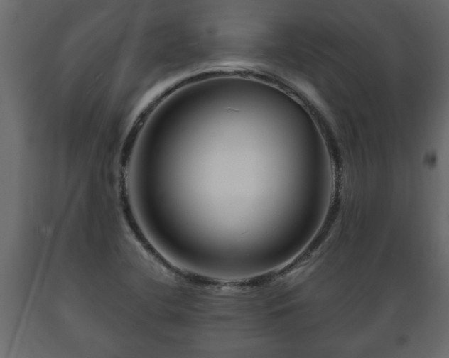 X0000089911412200707060949