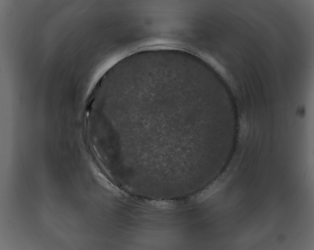 X0000089911413200707060949