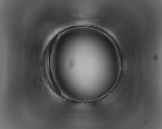 X0000089911414200707060949