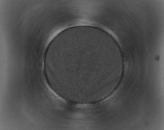 X0000089911415200707060949