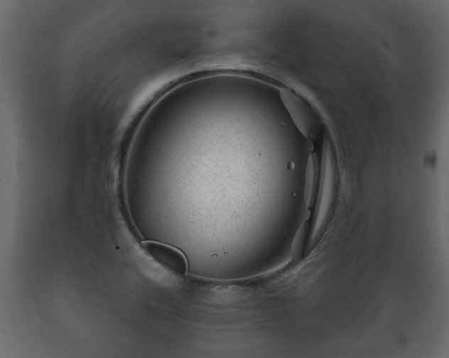 X0000089911416200707060949
