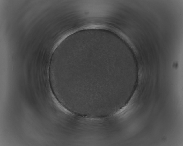 X0000089911417200707060949