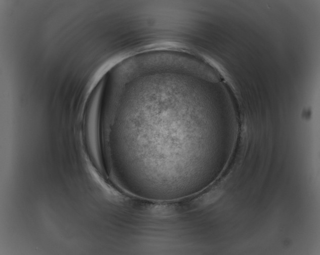 X0000089911418200707060949