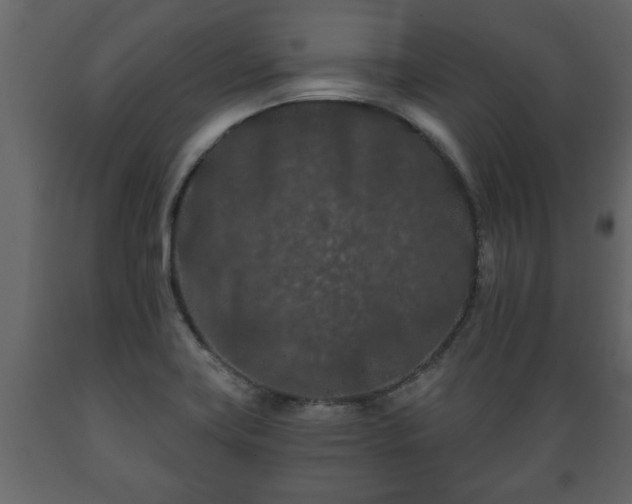 X0000089911419200707060949