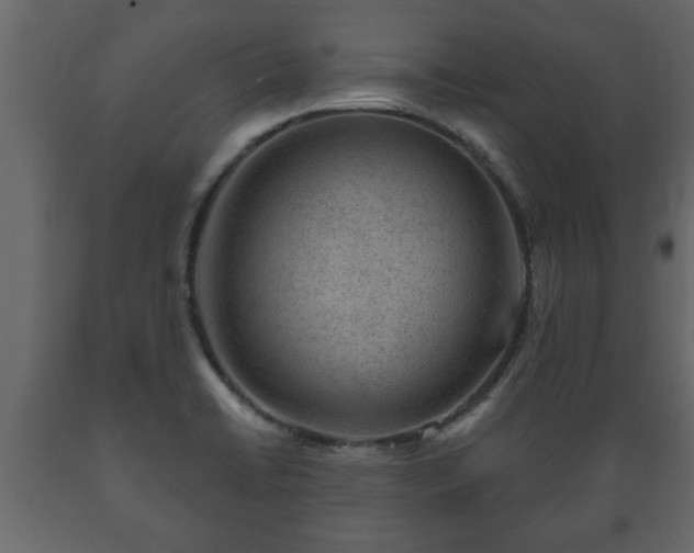 X0000089911422200707060949