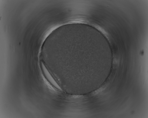 X0000089911423200707060949