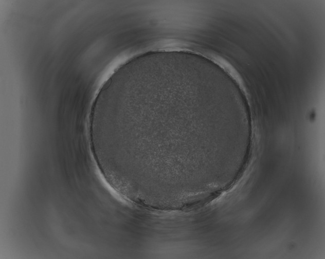 X0000089911429200707060950