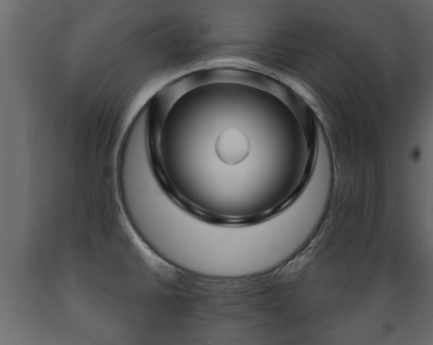 X0000089911430200707060950
