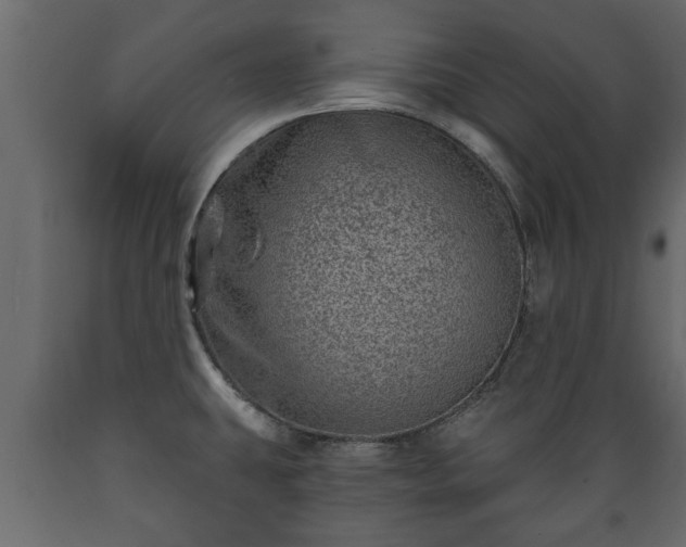 X0000089911431200707060950