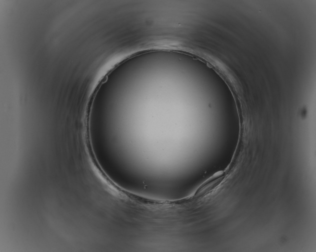 X0000089911432200707060950