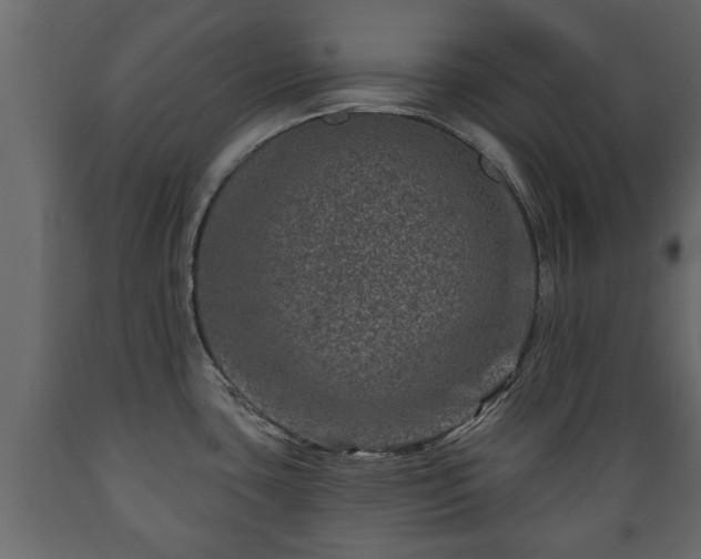 X0000089911435200707060950