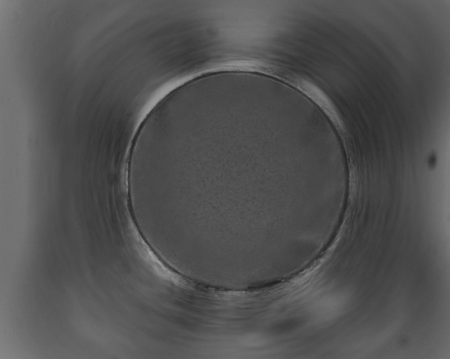 X0000089911436200707060950