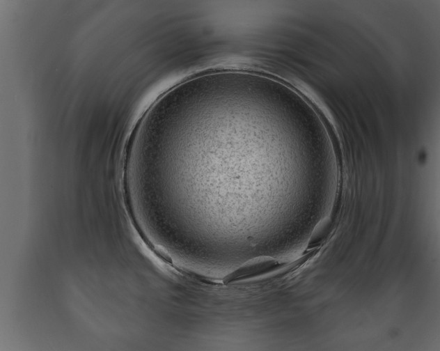 X0000089911437200707060950