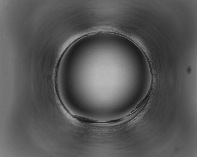 X0000089911438200707060950