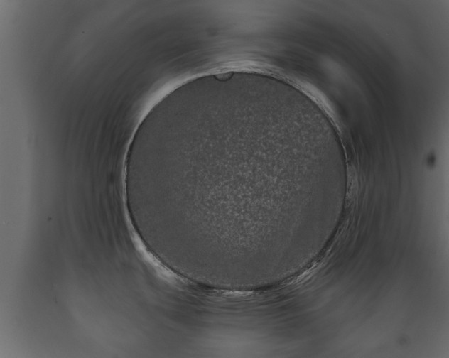 X0000089911439200707060950