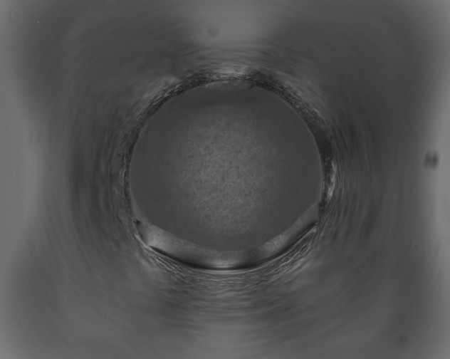X0000089911441200707060949