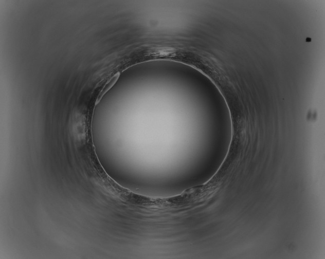 X0000089911442200707060949