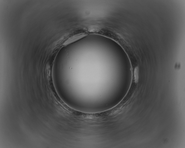 X0000089911443200707060949