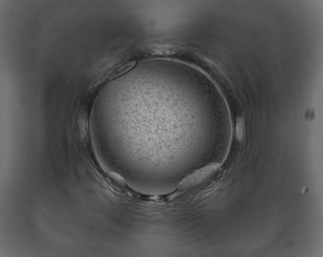 X0000089911444200707060949